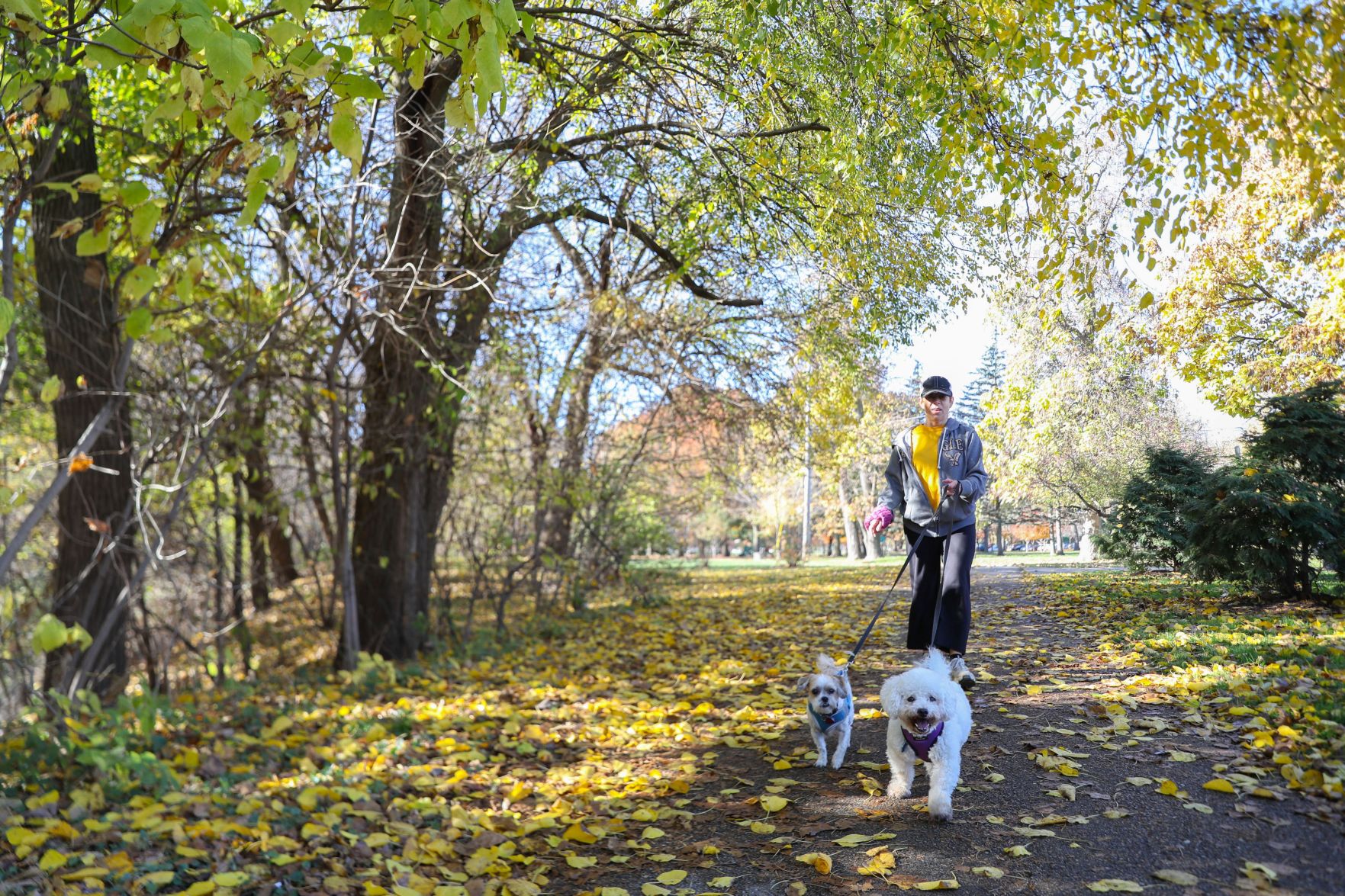 Elmwood Park